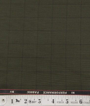 Georgia Gulini Moss Green Self Checks Poly Viscose Unstitched Fabric (1.25 Mtr) For Trouser