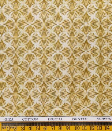 J.Hampstead Men's Peanut Brown Poly Viscose Trouser Fabric With Raymond Men's Light Brown Cotton Printed Shirt Fabric (Unstitched Combo)