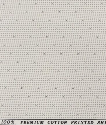 Raymond Men's Pebble Grey Striped Poly Viscose Trouser Fabric With Birla Century White Printed Cotton Shirt Fabric (Unstitched Combo)