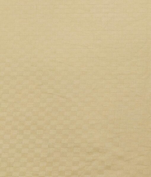 Raymond Men's Dark Brown Self Checks Poly Viscose Trouser Fabric With Exquisite Beige Self Checks Cotton Shirt Fabric (Unstitched Combo)