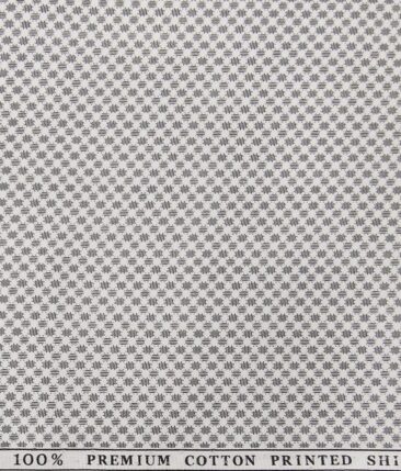 Raymond Men's Blackish Grey Self Checks Poly Viscose Trouser Fabric With Birla Century White Printed Cotton Shirt Fabric (Unstitched Combo)