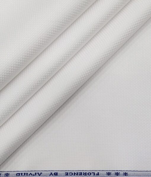 Raymond Men's Worsted Grey Pin Stripes Poly Viscose Trouser Fabric With Arving White Oxford Weave Cotton Shirt Fabric (Unstitched Combo)