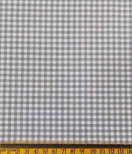 Raymond Men's Blueish Black Self Striped Poly Viscose Trouser Fabric With Nemesis Grey Checks Giza Cotton Shirt Fabric (Unstitched Combo)