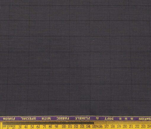 Raymond Men's Poly Viscose Unstitched Structured cum Checks Suiting Fabric (Dark Purple)