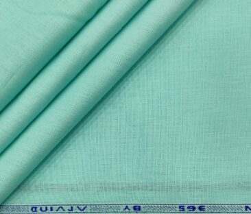 Arvind Men's Cotton Linen Self Design Unstitched Shirt Fabric (Mint Green)