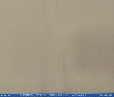 Arvind Men's Cotton Solids 1.30 Meter Unstitched Trouser Fabric (Mouse)