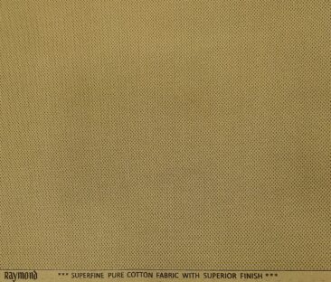 Raymond Men's Cotton Printed 1.30 Meter Unstitched Trouser Fabric (Fawn Beige)