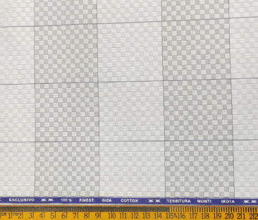 Tessitura Monti Men's Giza Cotton Checks 2 Meter Unstitched Shirting Fabric (Light Grey)