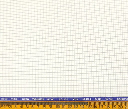 Tessitura Monti Men's Giza Cotton Checks 2 Meter Unstitched Shirting Fabric (White & Blue)