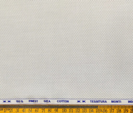 Tessitura Monti Men's Giza Cotton Structured 2 Meter Unstitched Shirting Fabric (Light Silver Grey)