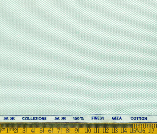 Tessitura Monti Men's Giza Cotton Structured 2 Meter Unstitched Shirting Fabric (Mint Green)