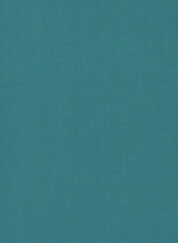 Absoluto Men's Terry Rayon Solids 3.75 Meter Unstitched Suiting Fabric (Aqua Green)
