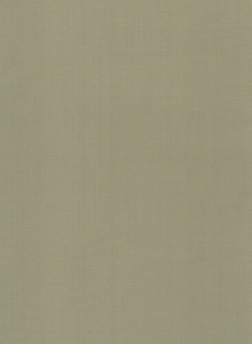 Absoluto Men's Terry Rayon Solids 3.75 Meter Unstitched Suiting Fabric (Oyster Beige)