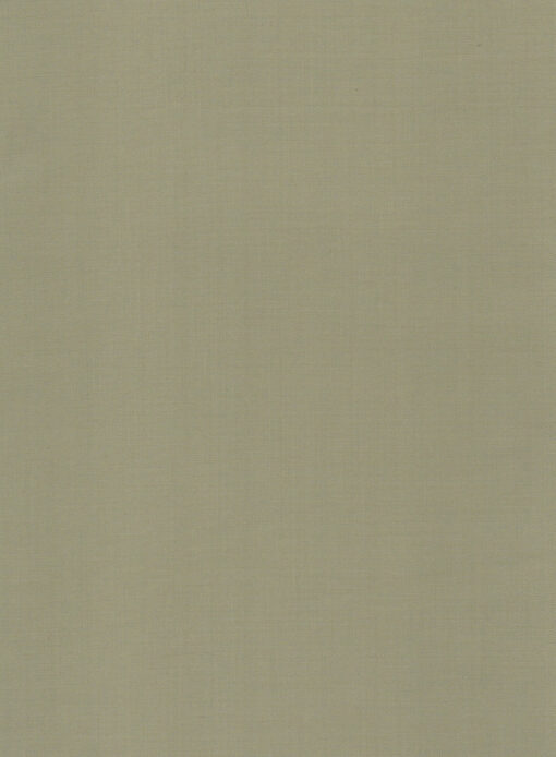 Absoluto Men's Terry Rayon Solids 3.75 Meter Unstitched Suiting Fabric (Oyster Beige)