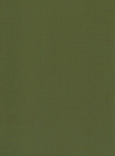 Absoluto Men's Terry Rayon Solids 3.75 Meter Unstitched Suiting Fabric (Olive Green)