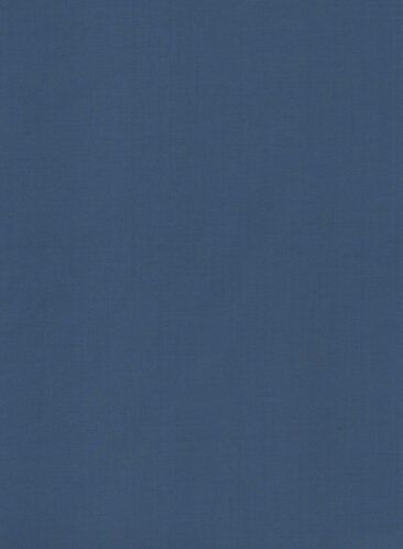 Absoluto Men's Terry Rayon Solids 3.75 Meter Unstitched Suiting Fabric (Aegean Blue)