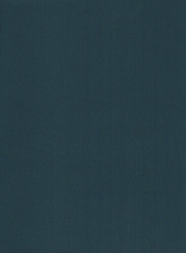 Absoluto Men's Terry Rayon Solids 3.75 Meter Unstitched Suiting Fabric (Classic Blue)