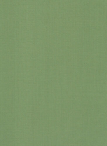 Absoluto Men's Terry Rayon Solids 3.75 Meter Unstitched Suiting Fabric (Light Green)