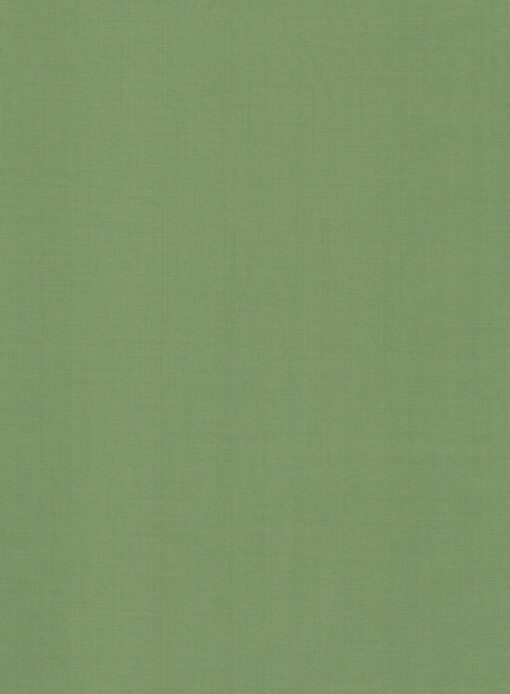 Absoluto Men's Terry Rayon Solids 3.75 Meter Unstitched Suiting Fabric (Light Green)