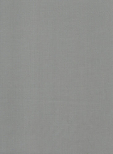 Absoluto Men's Terry Rayon Solids 3.75 Meter Unstitched Suiting Fabric (Storm Grey)