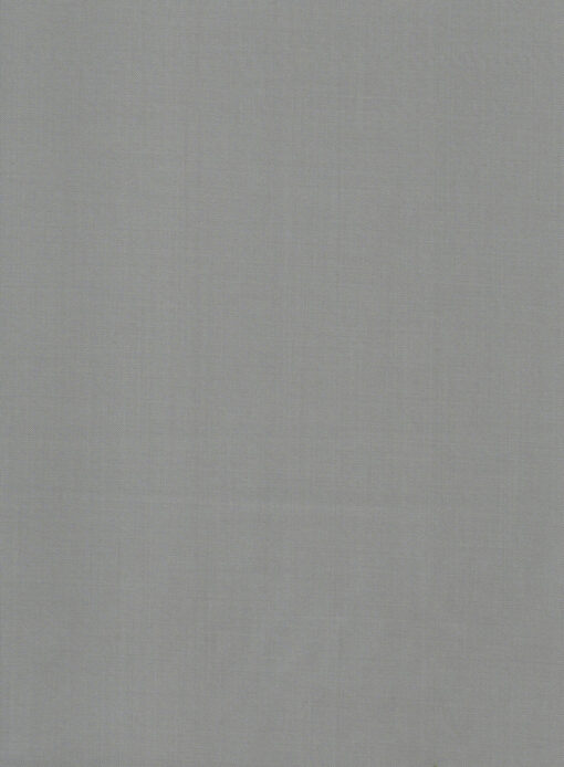 Absoluto Men's Terry Rayon Solids 3.75 Meter Unstitched Suiting Fabric (Storm Grey)