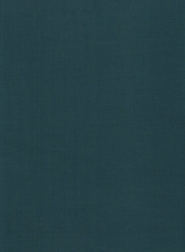 Don & Julio Men's Terry Rayon Solids 3.75 Meter Unstitched Suiting Fabric (Dark Sea Green)