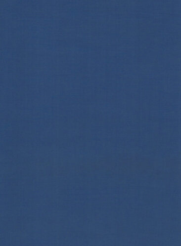 Don & Julio Men's Terry Rayon Solids 3.75 Meter Unstitched Suiting Fabric (Classic Blue)