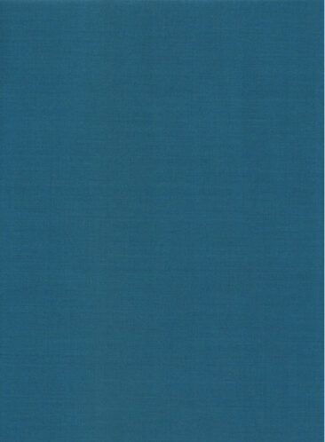 EMEF Men's Terry Rayon Solids 3.75 Meter Unstitched Suiting Fabric (Caribbean Blue)