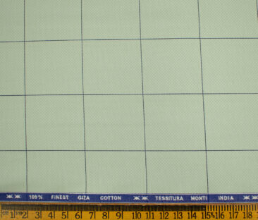 Tessitura Monti Men's Giza Cotton Checks 2 Meter Unstitched Shirting Fabric (Light Green & Blue)