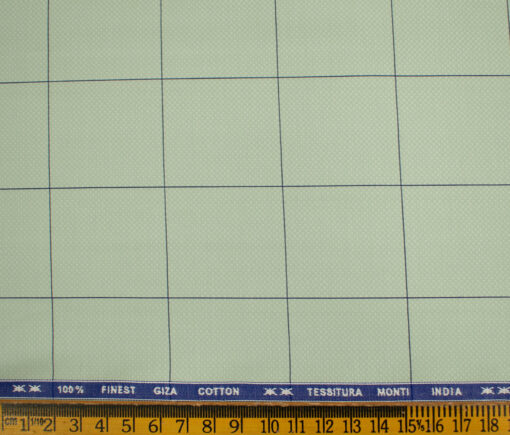 Tessitura Monti Men's Giza Cotton Checks 2 Meter Unstitched Shirting Fabric (Light Green & Blue)