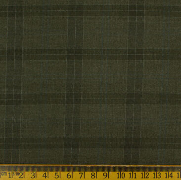 Don & Julio Men's Terry Rayon Checks 3.75 Meter Unstitched Suiting Fabric (Moss Green)