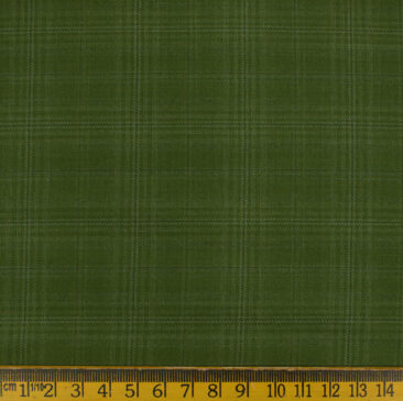 Don & Julio Men's Terry Rayon Checks 3.75 Meter Unstitched Suiting Fabric (Pear Green)