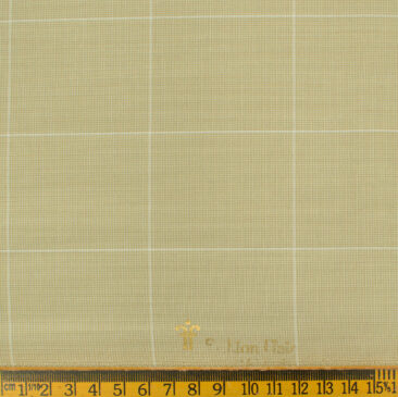Fashion Flair Men's Terry Rayon Checks 3.75 Meter Unstitched Suiting Fabric (Beige)