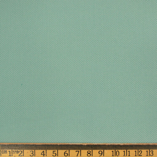 Italian Channel Men's Terry Rayon Structured 3.75 Meter Unstitched Suiting Fabric (Mint Green)