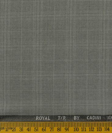 Cadini Men's Terry Rayon Checks 3.75 Meter Unstitched Suiting Fabric (Worsted Grey)
