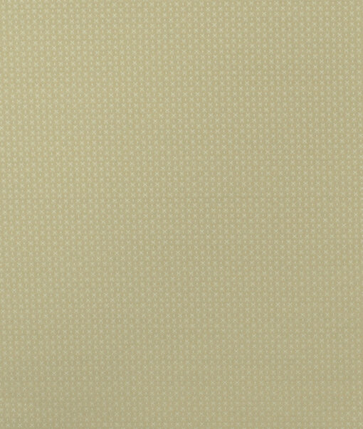 Italian Channel Men's Terry Rayon Structured 3.75 Meter Unstitched Suiting Fabric (Beige)