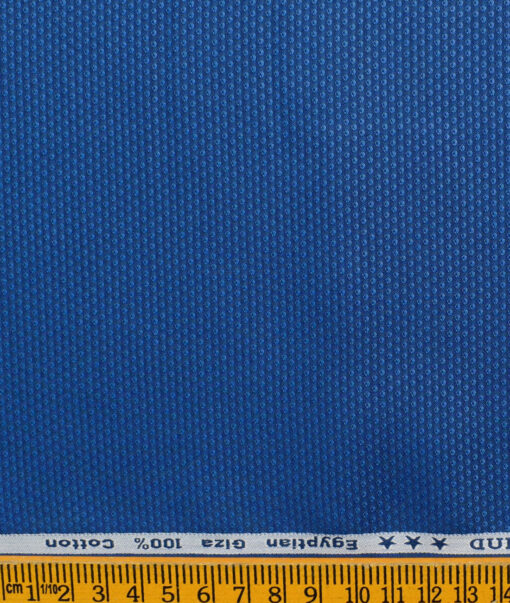 Arvind Men's Giza Cotton Structured 2.25 Meter Unstitched Shirting Fabric (Royal Blue)