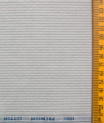 Raymond Men's Premium Cotton Striped Unstitched Shirting Fabric (Light Grey)