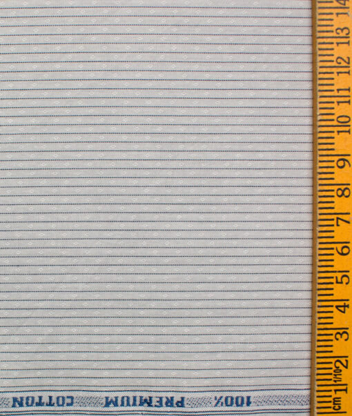 Raymond Men's Premium Cotton Striped Unstitched Shirting Fabric (Light Grey)