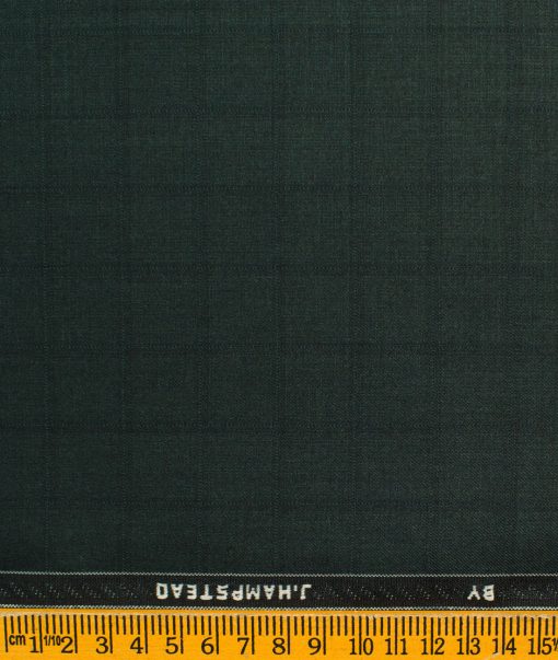 LSJHTR112DKPINEGRNSLFCHKAPR 3