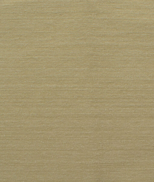 Arvind Men's Cotton Solids 1.50 Meter Unstitched Stretchable Jeans Fabric (Citra Beige)