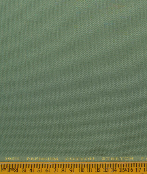 Donear Men's 98% Cotton  Structured 3.75 Meter Unstitched Stretchable Suiting Fabric (Light Olive Green)