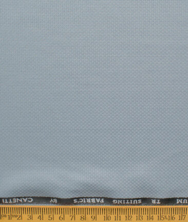 Canetti Men's Terry Rayon  Structured  Unstitched Suiting Fabric (Sky Blueish Grey)