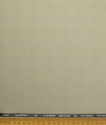 Canetti Italy Men's Terry Rayon  Checks  Unstitched Suiting Fabric (Pale Olive Green)