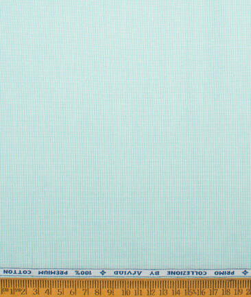 Arvind  Cotton Structured Shirting Fabric (Light Aqua Green)