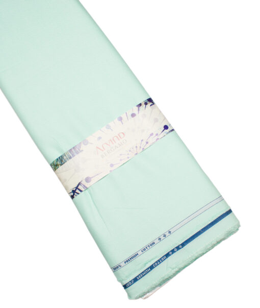 Arvind  Cotton Structured Shirting Fabric (Mint Green)