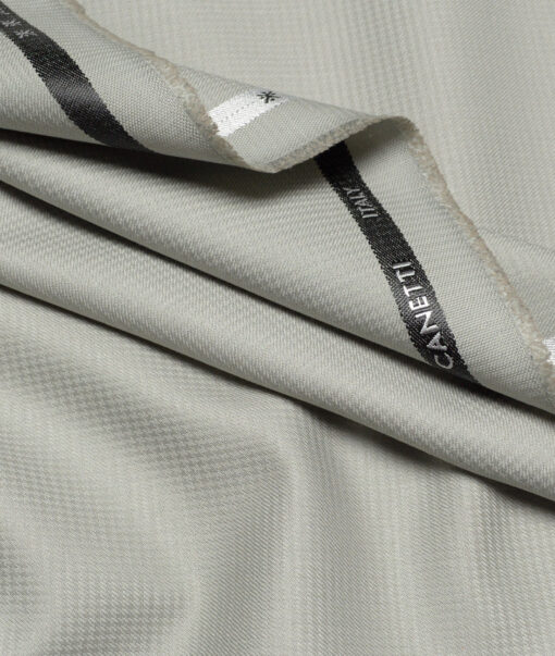 Canetti Italy  Structured Terry Rayon Unstitched Suiting Fabric (Light Sea Mist Green)