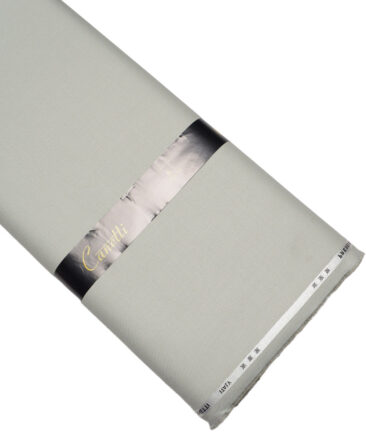 Canetti Italy  Structured Terry Rayon Unstitched Suiting Fabric (Light Sea Mist Green)