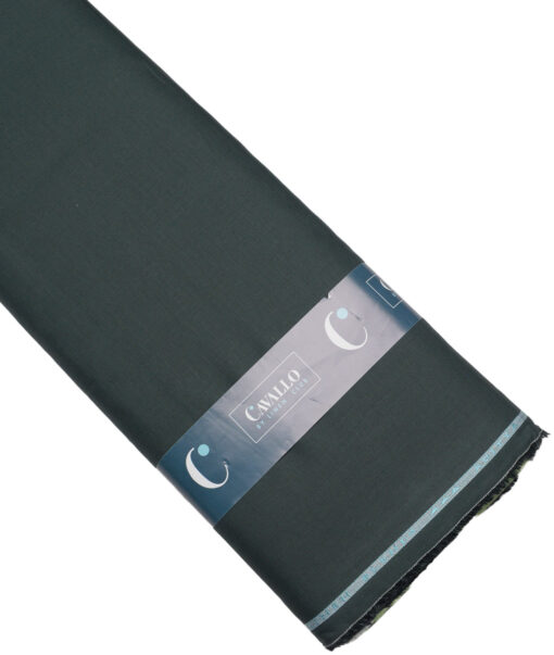Cavallo by Linen Club  Cotton Linen Solids Shirting Fabric (Dark Green)