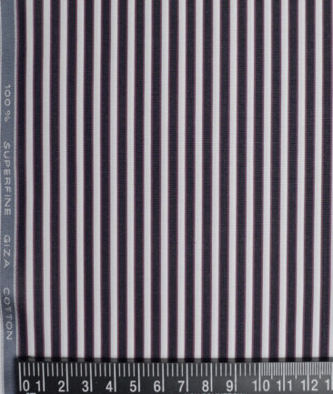 Tessitura Monti 2 Ply 120's Giza Cotton Striped Shirting Fabric (White & Dark Blue)
